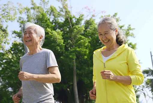 Đi bộ nhanh 5 lần/tuần chống lão hóa não và mất trí nhớ