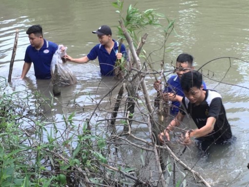 Chú trọng chăm bồi, kết nạp đảng viên