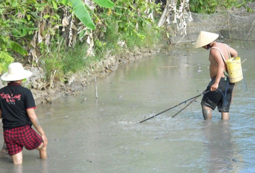 Vĩnh Long nâng cao nhận thức bảo tồn đa dạng sinh học trong cộng đồng
