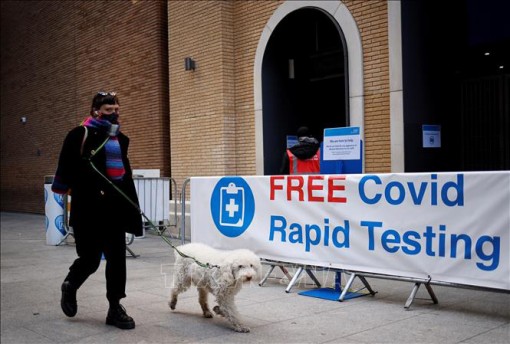 WHO xác nhận khả năng lây nhiễm SARS-CoV-2 từ người sang động vật