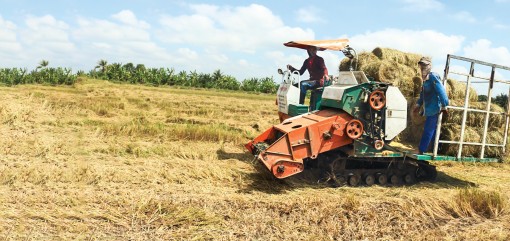 Cần tận dụng tốt nguồn

rơm rạ sau thu hoạch