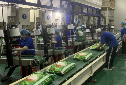 Chạy đua với thời gian để mở cửa nền kinh tế