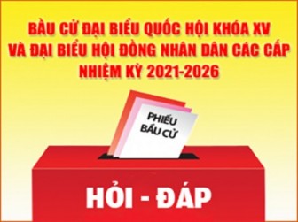 Người ứng cử phải đáp ứng các tiêu chuẩn nào?