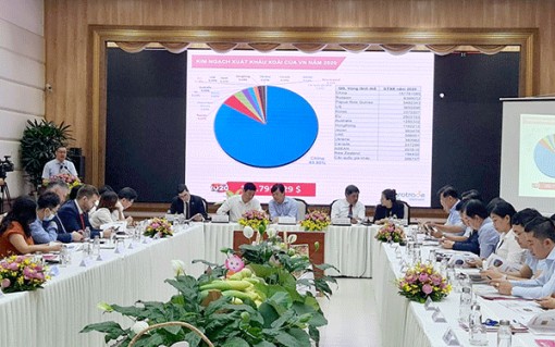 Nâng cao năng lực tuân thủ các quy định đối với xoài xuất khẩu