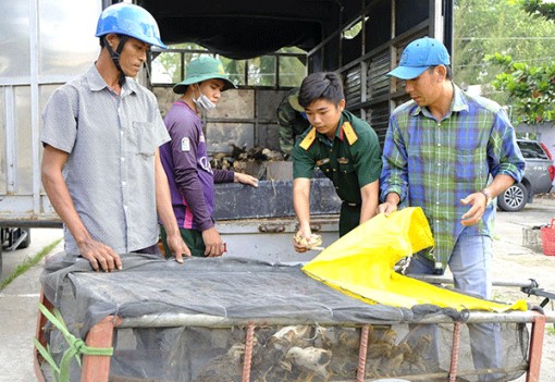 Ðổi thay ở vùng biên