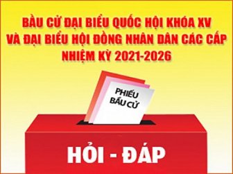 Người nào không được ứng cử đại biểu Quốc hội và đại biểu HĐND? Cử tri là gì? Nguyên tắc lập danh sách cử tri được quy định như thế nào?
