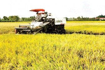 Nâng cao hiệu quả sản xuất nông nghiệp, thích ứng khô hạn