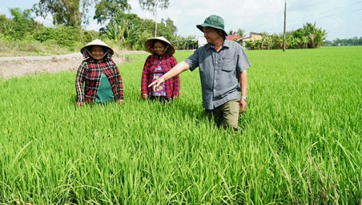 Phát huy vai trò hạt nhân lãnh đạo