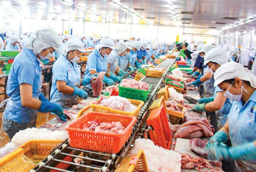 Khơi thông động lực tăng trưởng cho công nghiệp Cần Thơ <br> Bài 2: Ðịnh hình lại bức tranh công nghiệp thành phố </br>