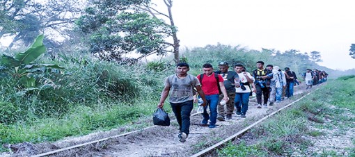 “Giấc mơ Mỹ” mang về cho bọn buôn người hàng tỉ USD