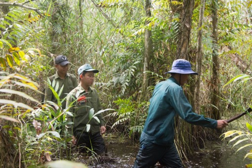 Cà Mau: Gần 8.000ha rừng tràm ở cấp báo cháy cực kỳ nguy hiểm