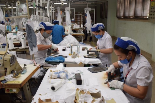 Chính phủ tiếp tục gia hạn tiền thuế và tiền thuê đất