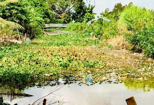 Nhiều hộ ở khu vực Thới Hòa B “khát” nước sạch