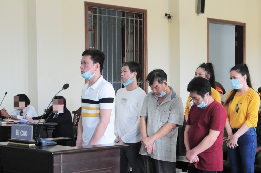 Đừng để lòng tham dẫn lối