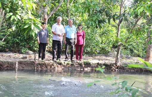 Cựu chiến binh thi đua gương mẫu