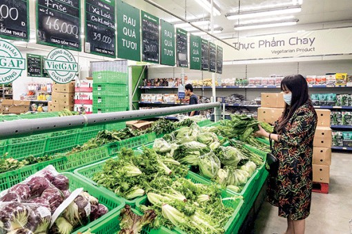 Hiện đại hóa công tác quản lý, đảm bảo nhiệm vụ thu ngân sách