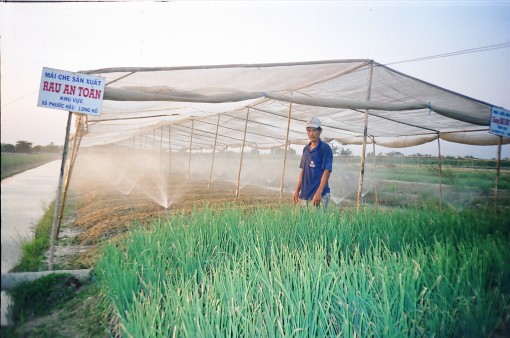 Vĩnh Long đề ra các giải pháp ứng phó biến đổi khí hậu