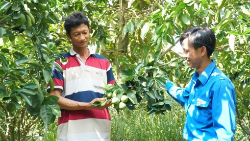 Người đảng viên gương mẫu