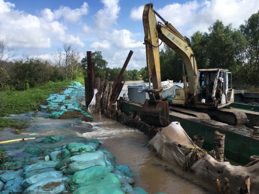 Cần triển khai đồng bộ nhiều giải pháp