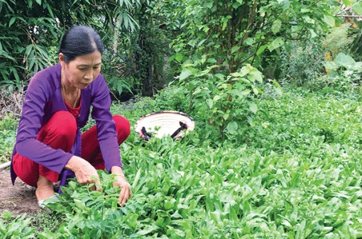 Nâng cao đời sống vật chất, tinh thần của hội viên