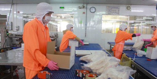 Phòng, chống dịch COVID-19 trong khu công nghiệp