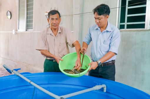 Phát huy phẩm chất “Bộ đội Cụ Hồ”
