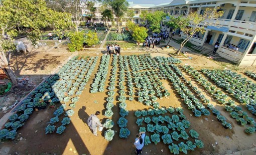 ប្រ​សិទ្ធ​ភាព​នៃ​សាលា​រៀន​គំ​រូ​ផ្លាស់​ថ្មី​