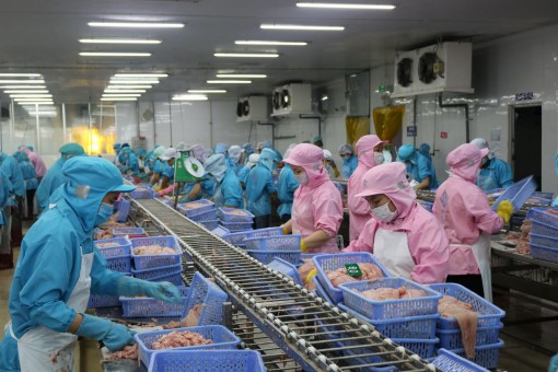 Kiến tạo môi trường kinh doanh thực phẩm thuận lợi, an toàn