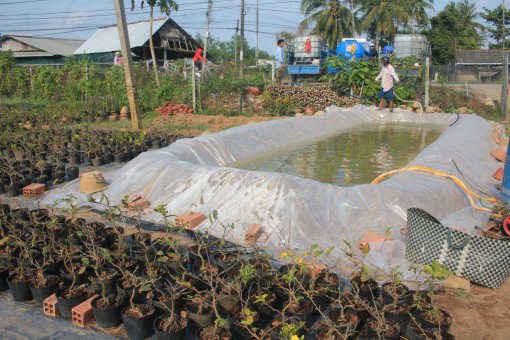 Để phát triển bền vững vùng ĐBSCL