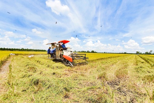 Ðề xuất phát triển sản xuất nông nghiệp chất lượng cao ở huyện Vĩnh Thạnh