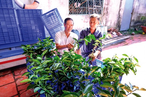 Quyết tâm xây dựng nông thôn mới nâng cao