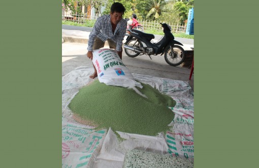 Giá nhiều loại phân bón tiếp tục tăng cao