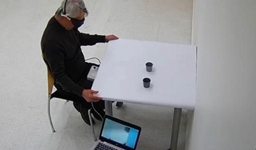 Triển vọng mới phục hồi

thị lực cho người khiếm thị