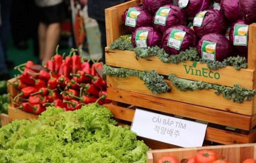 Kiểm soát lạm phát bằng các kịch bản điều hành giá