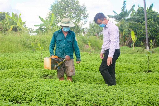 Giúp dân an cư, lạc nghiệp