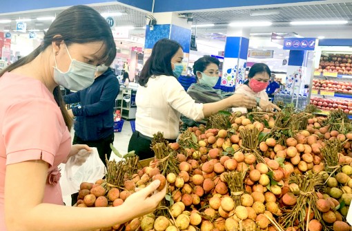 Saigon Co.op tiếp tục giảm giá nhu yếu phẩm

và sản phẩm chống dịch