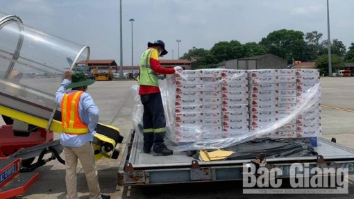 Vietjet Air miễn phí vận chuyển vải thiều cho 1 nghìn đơn hàng đầu tiên tại TP Hồ Chí Minh