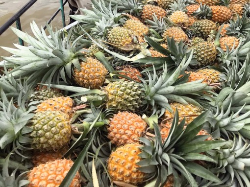 Khóm Tắc Cậu, Vĩnh Phước

giảm giá hơn 60%