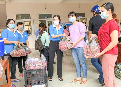 Hội LHPN TP Cần Thơ tiếp tục hỗ trợ tiêu thụ 10 tấn vải Bắc Giang