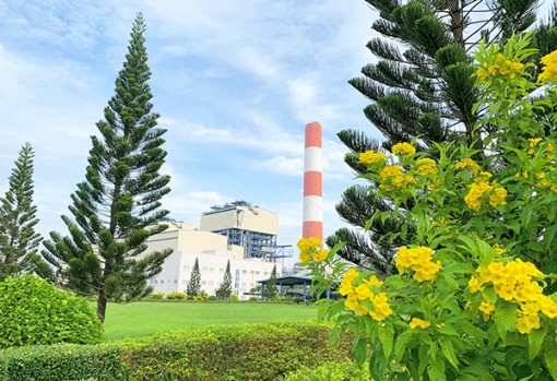 Công ty Nhiệt điện Cần Thơ hưởng ứng Ngày môi trường thế giới và tháng hành động vì môi trường