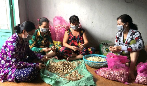 Bóc vỏ tỏi - mô hình tạo việc làm tại chỗ