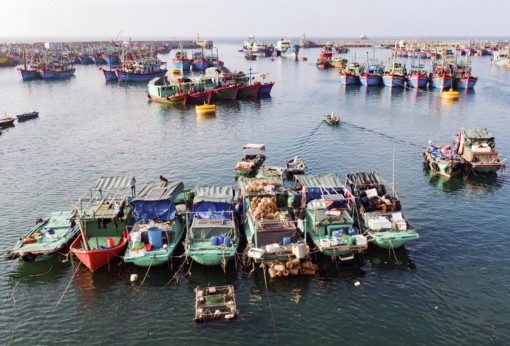 Vững vàng giữa biển khơi