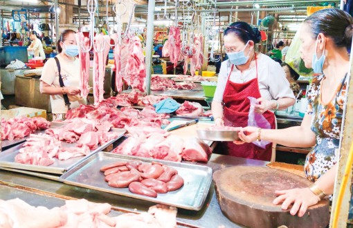 Nguồn cung dồi dào,

người tiêu dùng có nhiều lựa chọn