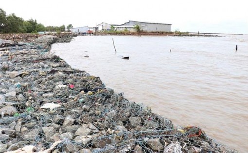 Cà Mau: Đầu tư 890 tỷ đồng xây dựng hơn 26km kè bảo vệ bờ biển