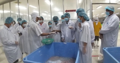 Tạo hấp lực mới thu hút đầu tư vào Cần Thơ