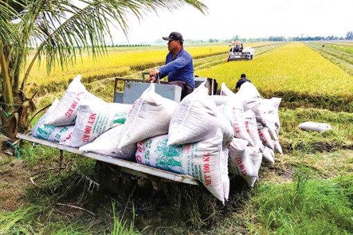 Chuyển biến tích cực phát triển kinh tế - xã hội