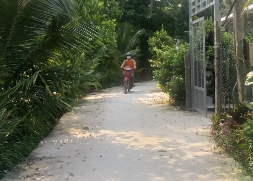 Nỗ lực kiềm chế tai nạn giao thông