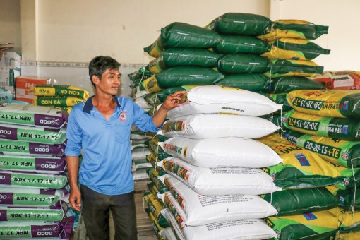 Phân bón không ngừng tăng giá, thêm khó cho nhà nông