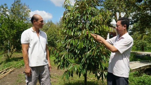 Năng động hỗ trợ nông dân