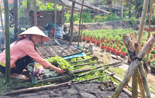 ចាក​ភាព​ក្រីក្រ​ផ្ដើម​ពី​ដើម​ទុន​ជំ​នួយ​របស់​រដ្ឋ